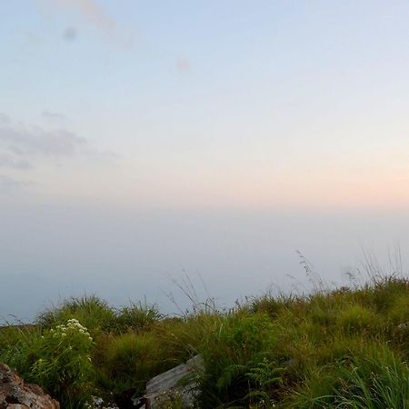 هابيوتيل Olive Hill Top Hotel المظهر الخارجي الصورة